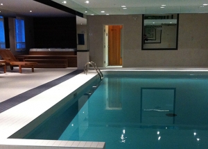 Luxury Interior Pool Area