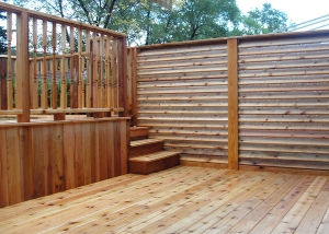 Modern cedar terrace