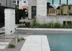 Modern Low Maintenance Landscaping with Pool 01