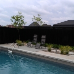 Modern Low Maintenance Landscaping with Pool 014