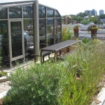 Rooftop Garden Outremont 03