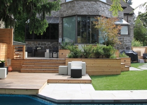 Urban Backyard Patio & Terrace 1