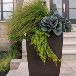 Contemporary Landscaping Design 02