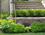 Modern Home Garden Solution