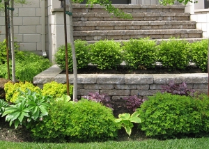 Modern Home Garden Solution