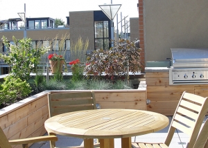 Rooftop Garden Outdoor Living 01