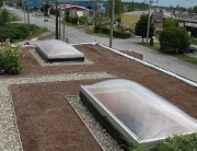 Rooftop Gardening