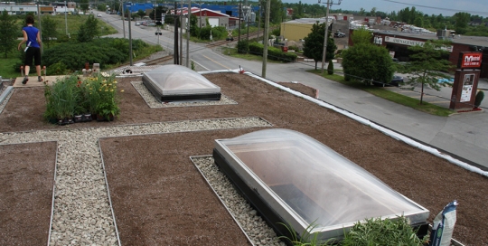 Rooftop Gardening