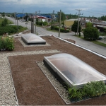 Rooftop Gardening 02