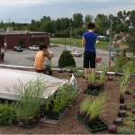 Rooftop Gardening 03