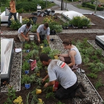 Rooftop Gardening 04