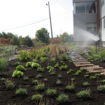 Outdoor Living Space for Employees 10